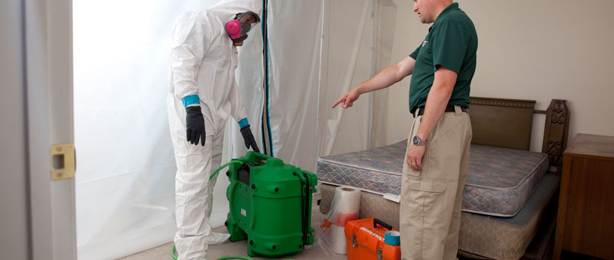 Skippack, PA mold removal process